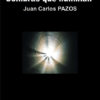 CLARIDADES QUE NUBLAN. SOMBRAS QUE ILUMINAN. Juan Carlos PAZOS