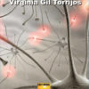 LA MUTACIÓN DEL AMOR - Virginia GIL TORRIJOS