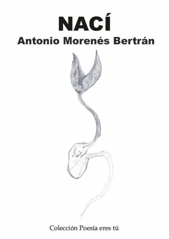 NACÍ. ANTONIO MORENÉS BERTRÁN