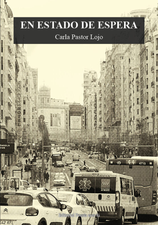EN ESTADO DE ESPERA. CARLA PASTOR LOJO