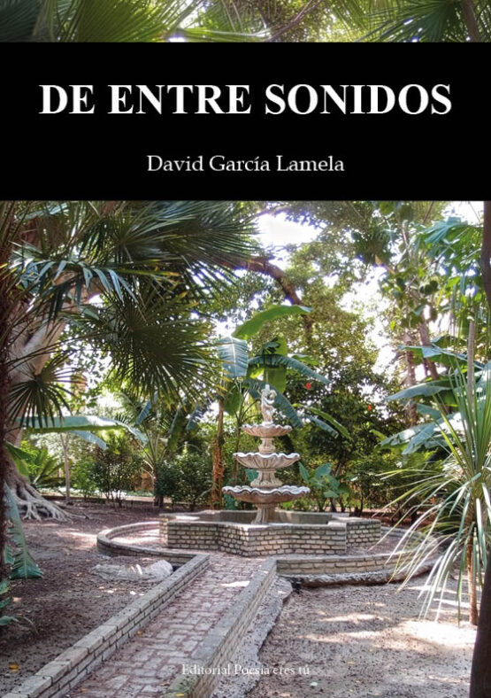 DE ENTRE SONIDOS. DAVID GARCÍA LAMELA